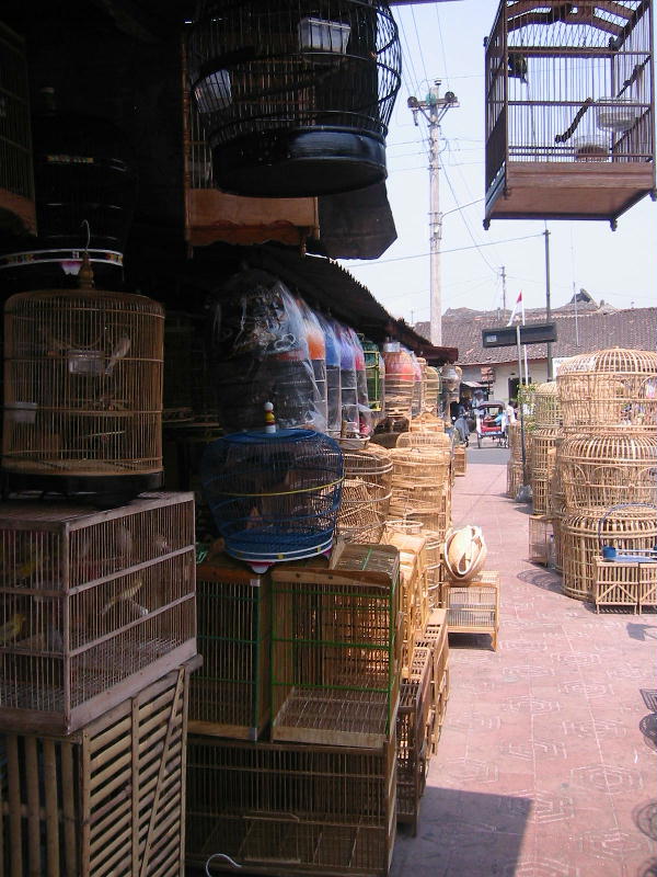 Bird market (Yogya, Java).JPG