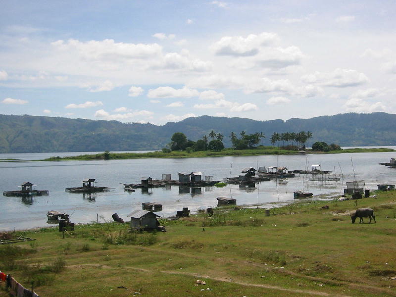 Fishing village (Lake Toba, Sumatra).JPG
