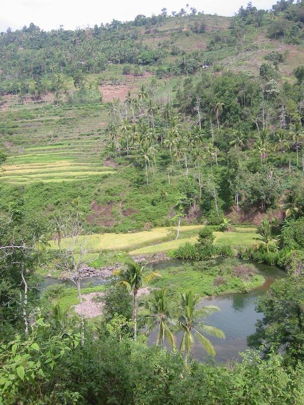 Sumatran valley.JPG