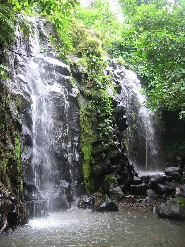 Waterfall (Bukit Lawang, Sumatra).JPG