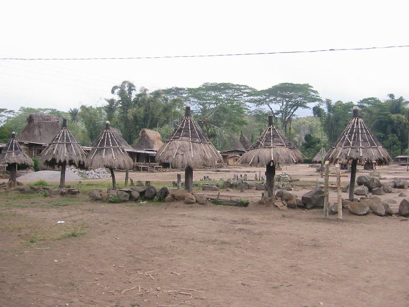 Wogo village (Bajawa, Flores).JPG