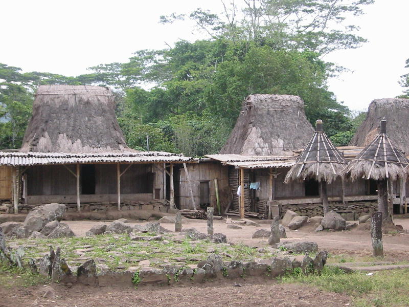 Wogo village (Flores).JPG