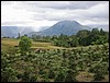 Inland (Lake Toba, Sumatra).JPG