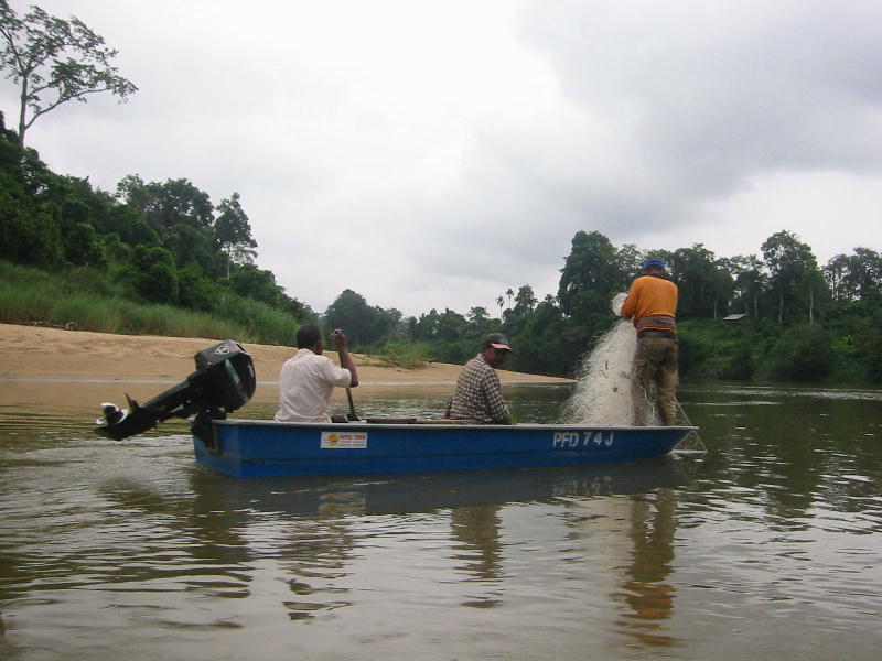 Fishing (Taman Negara).JPG