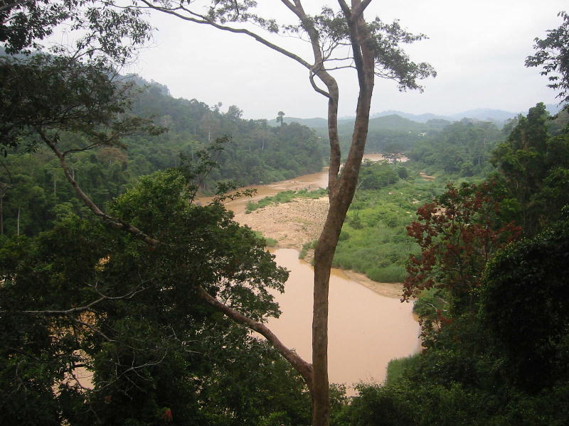 River 2 (Taman Negara).JPG