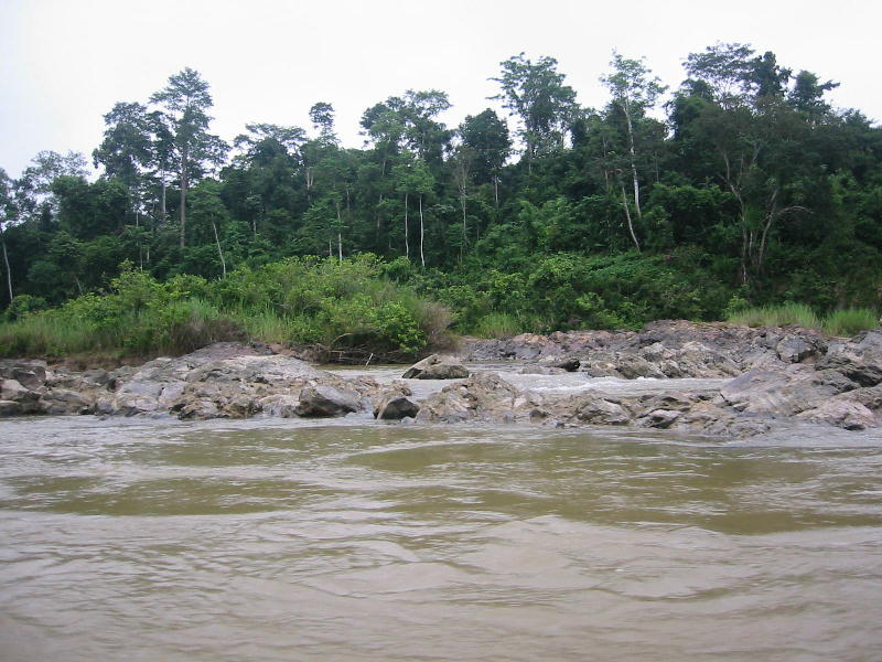 Riverside (Taman Negara).JPG