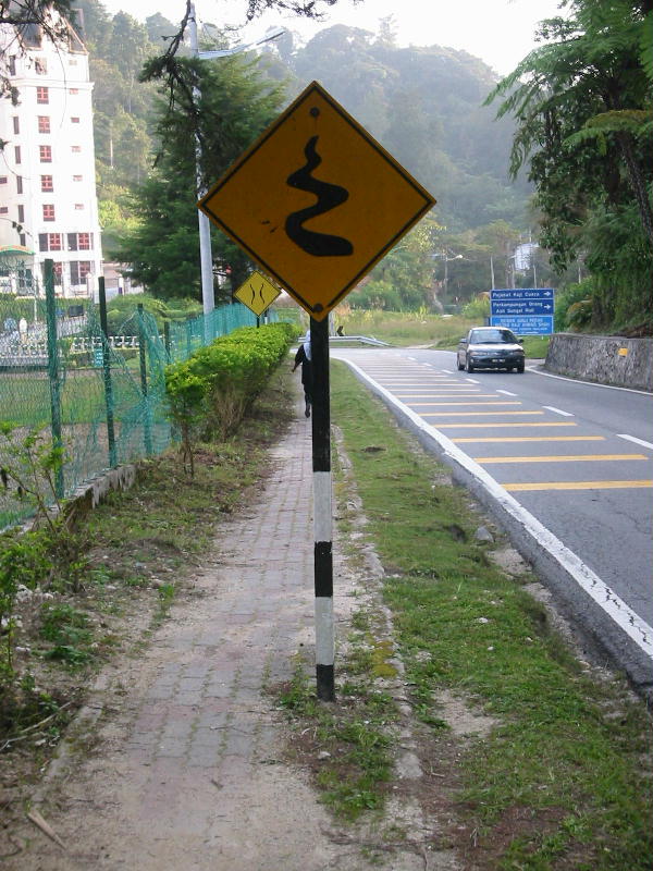 Snake road (Cameron highlands).JPG