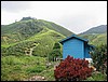 Highland's colors (Cameron highlands).JPG