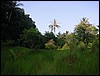 Jungle cross walk (Perhentian islands).JPG