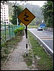 Snake road (Cameron highlands).JPG