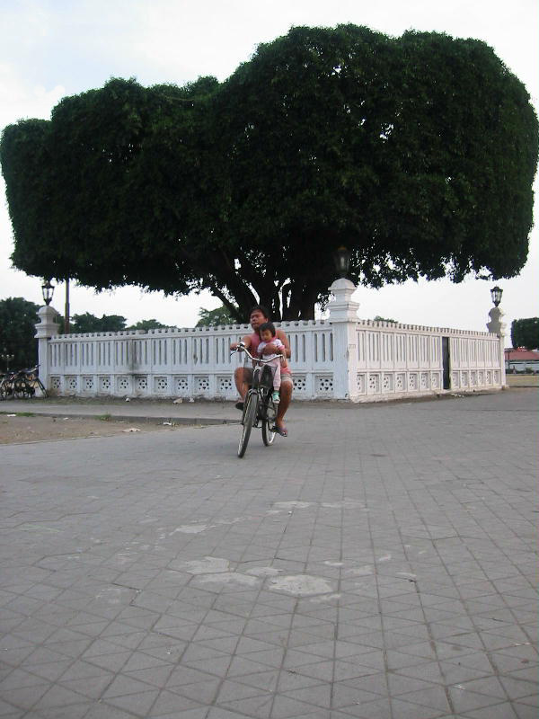 Bike forever (Yogya, Java).JPG